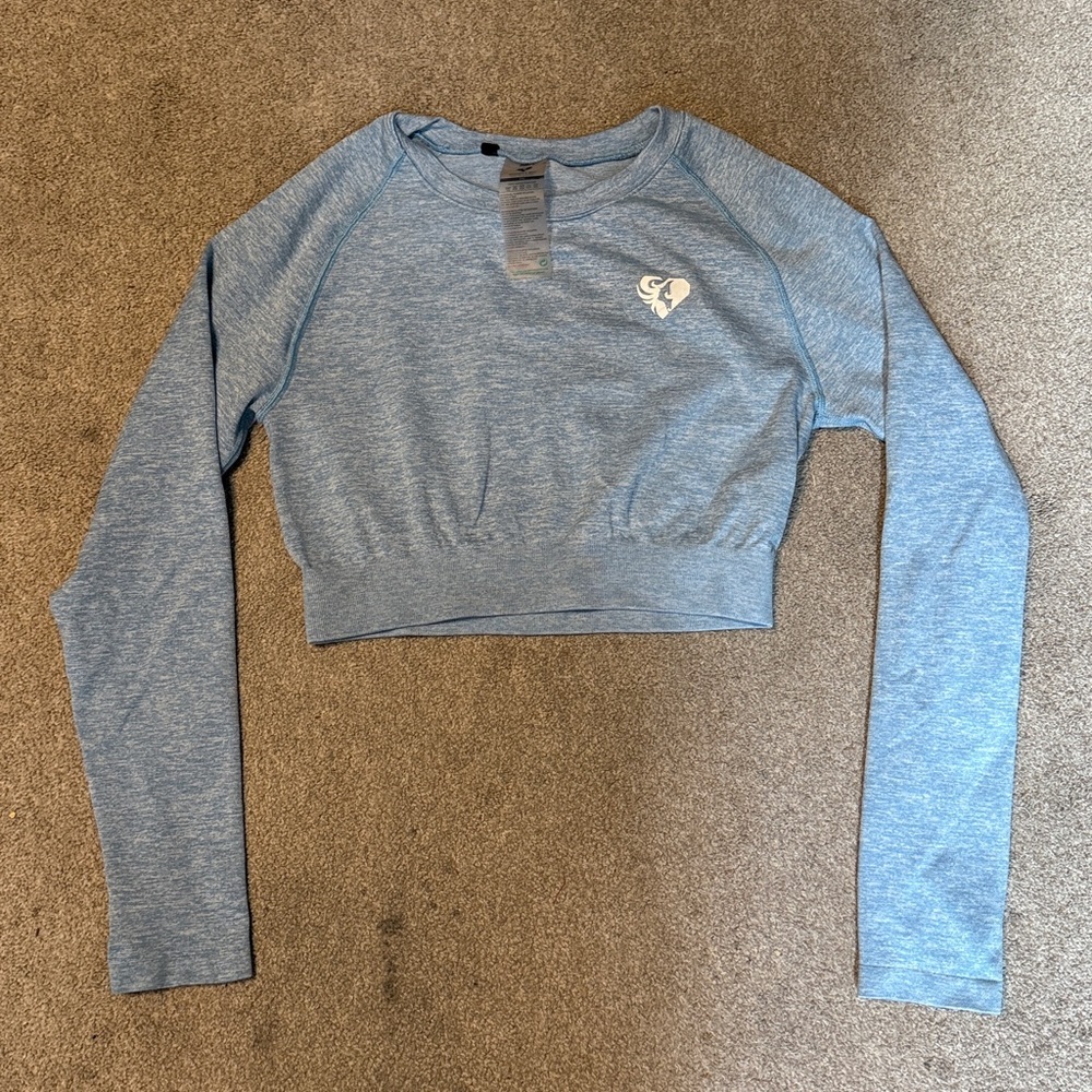 Women’s Best Light Blue Long Sleeve Crop Workout Spandex Top Size 2XL